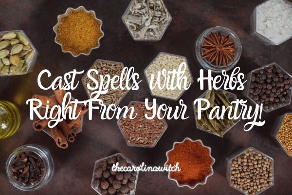 Cast spells with herbs right from your pantry blog post title with a picture of many different bowls of herbs and spices spread out on a table.