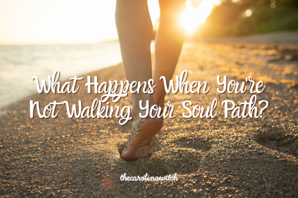 What Happens When You're Not Walking Your Soul Path? blog post title with picture of a person walking down the beach