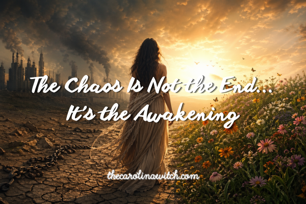 The Chaos Is Not the End...It’s the Awakening blog post title.